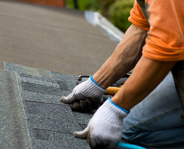 Best Emergency Roof Repair  in Albany, KY