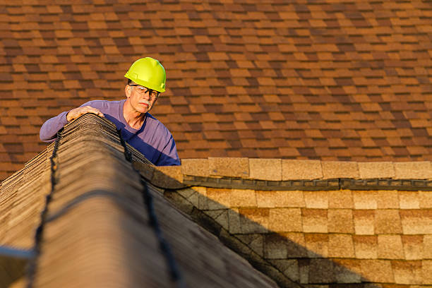 Best Local Roofing Companies  in Albany, KY